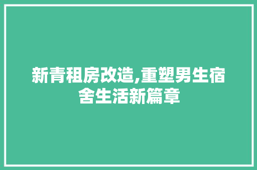 新青租房改造,重塑男生宿舍生活新篇章