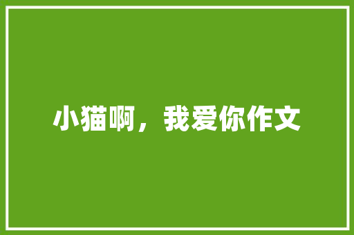 无水池厨房改造,空间利用与生活品质的双重提升