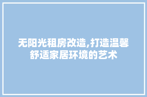 无阳光租房改造,打造温馨舒适家居环境的艺术