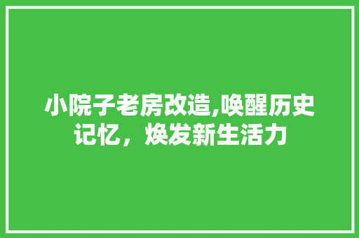 小院子老房改造,唤醒历史记忆，焕发新生活力