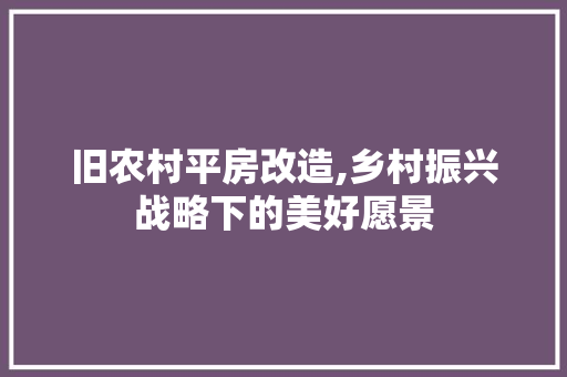 旧农村平房改造,乡村振兴战略下的美好愿景