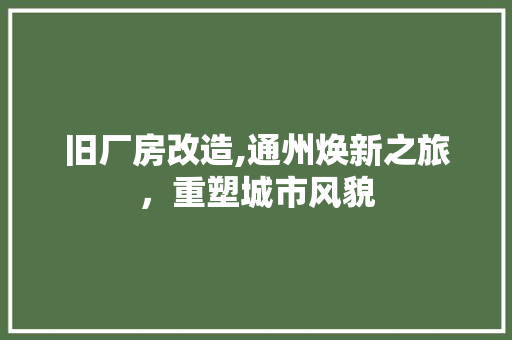 旧厂房改造,通州焕新之旅，重塑城市风貌