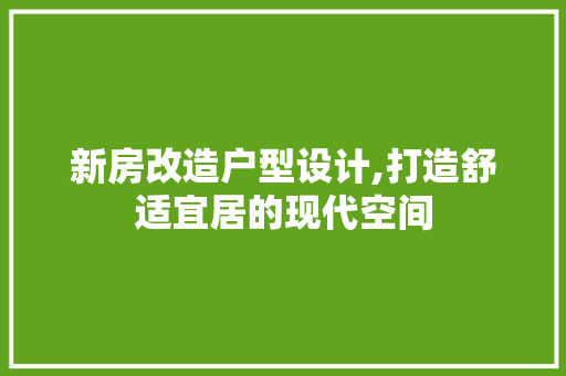 新房改造户型设计,打造舒适宜居的现代空间