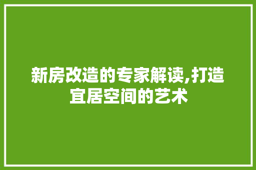 新房改造的专家解读,打造宜居空间的艺术