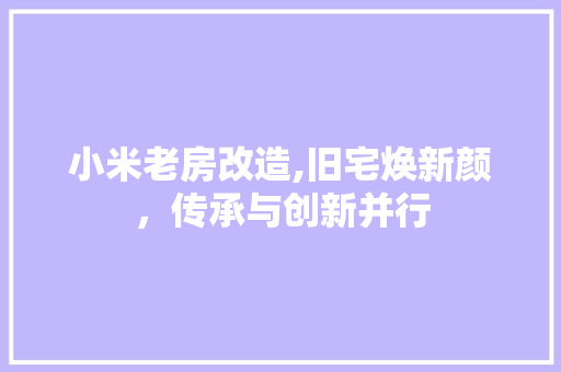 小米老房改造,旧宅焕新颜，传承与创新并行
