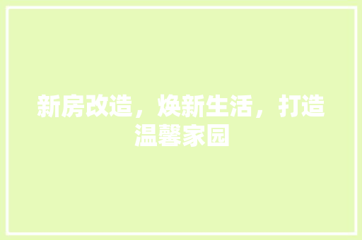 新房改造，焕新生活，打造温馨家园