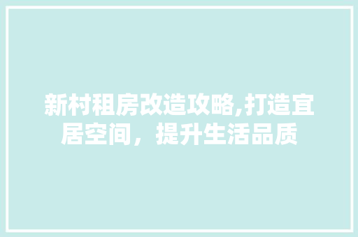 新村租房改造攻略,打造宜居空间，提升生活品质