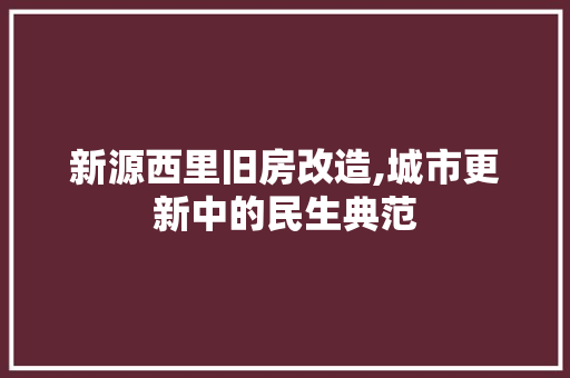 新源西里旧房改造,城市更新中的民生典范