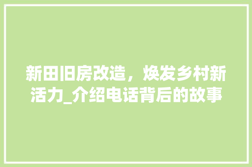 新田旧房改造，焕发乡村新活力_介绍电话背后的故事