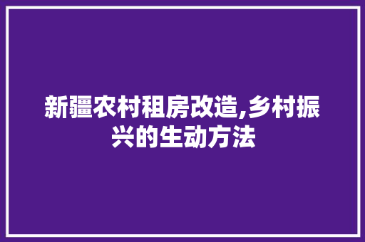 新疆农村租房改造,乡村振兴的生动方法