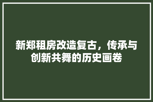 新郑租房改造复古，传承与创新共舞的历史画卷