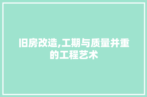 旧房改造,工期与质量并重的工程艺术