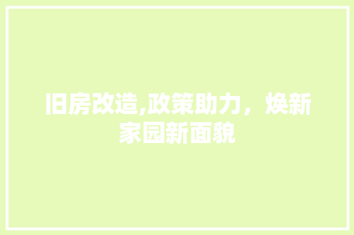 旧房改造,政策助力，焕新家园新面貌