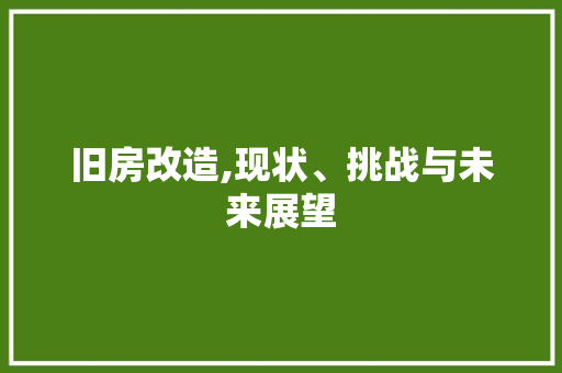 旧房改造,现状、挑战与未来展望
