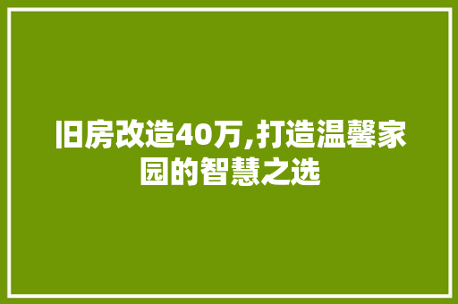旧房改造40万,打造温馨家园的智慧之选