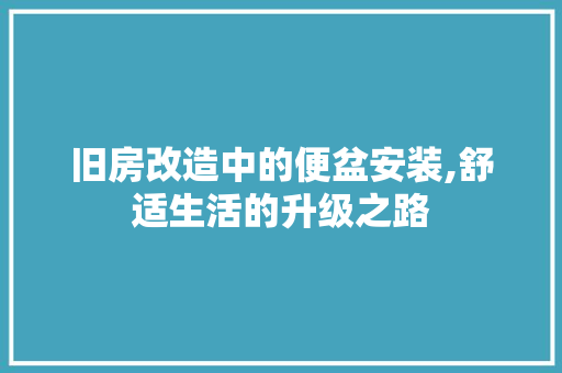 旧房改造中的便盆安装,舒适生活的升级之路