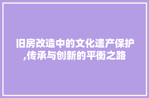 旧房改造中的文化遗产保护,传承与创新的平衡之路