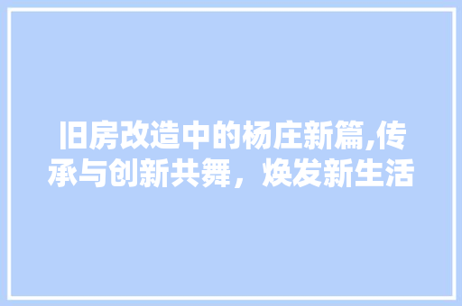 旧房改造中的杨庄新篇,传承与创新共舞，焕发新生活力