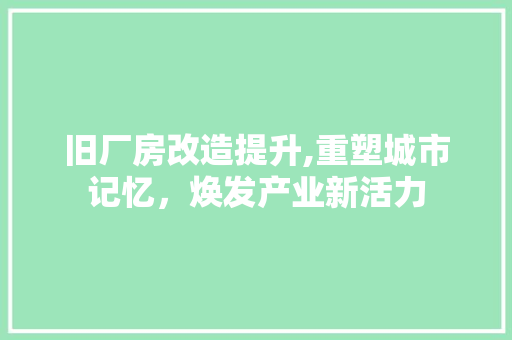 旧厂房改造提升,重塑城市记忆，焕发产业新活力