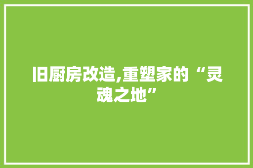 旧厨房改造,重塑家的“灵魂之地”