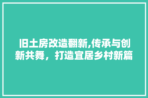 旧土房改造翻新,传承与创新共舞，打造宜居乡村新篇章