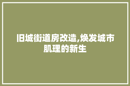 旧城街道房改造,焕发城市肌理的新生