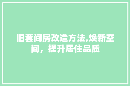 旧套间房改造方法,焕新空间，提升居住品质