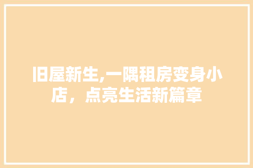 旧屋新生,一隅租房变身小店，点亮生活新篇章