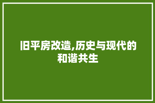 旧平房改造,历史与现代的和谐共生