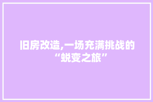 旧房改造,一场充满挑战的“蜕变之旅”