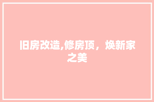 旧房改造,修房顶，焕新家之美