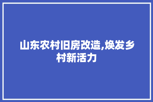 山东农村旧房改造,焕发乡村新活力