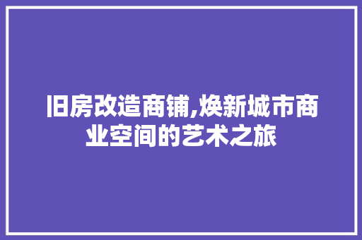 旧房改造商铺,焕新城市商业空间的艺术之旅