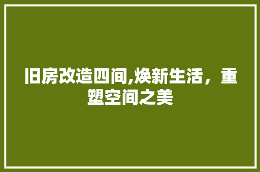 旧房改造四间,焕新生活，重塑空间之美