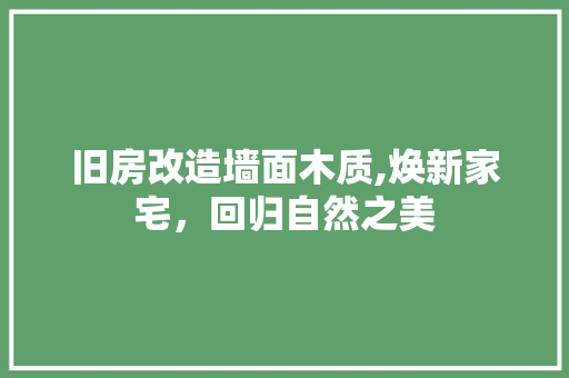 旧房改造墙面木质,焕新家宅，回归自然之美