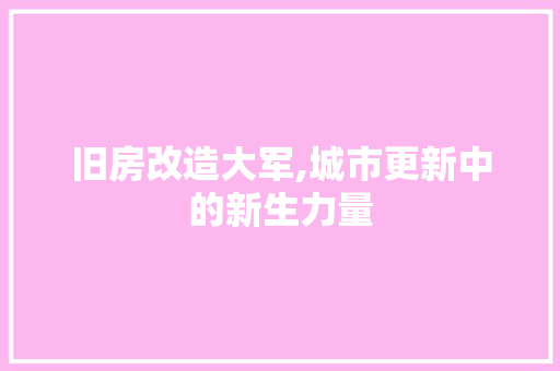 旧房改造大军,城市更新中的新生力量