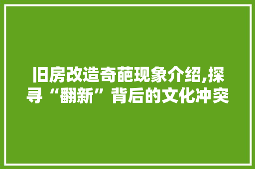 旧房改造奇葩现象介绍,探寻“翻新”背后的文化冲突与审美变迁