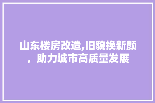 山东楼房改造,旧貌换新颜，助力城市高质量发展