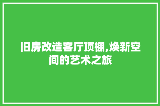 旧房改造客厅顶棚,焕新空间的艺术之旅