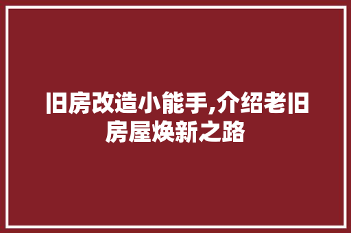 旧房改造小能手,介绍老旧房屋焕新之路