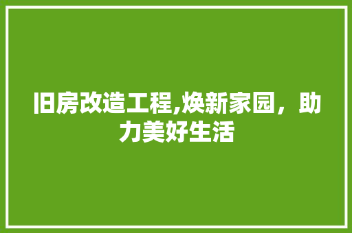 旧房改造工程,焕新家园，助力美好生活