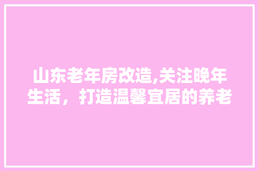 山东老年房改造,关注晚年生活，打造温馨宜居的养老环境