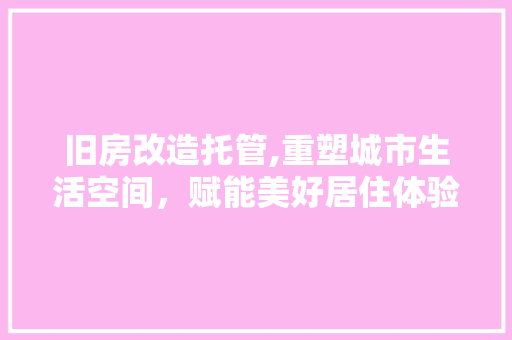 旧房改造托管,重塑城市生活空间，赋能美好居住体验