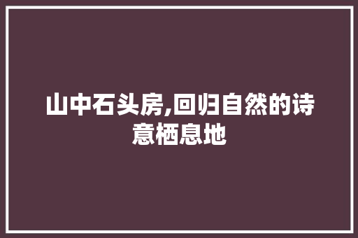 山中石头房,回归自然的诗意栖息地