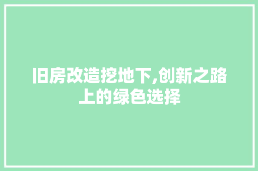 旧房改造挖地下,创新之路上的绿色选择