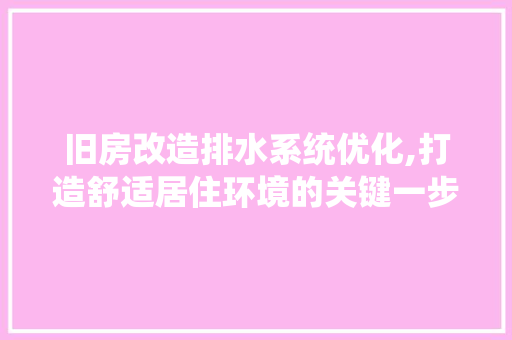 旧房改造排水系统优化,打造舒适居住环境的关键一步