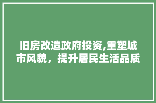 旧房改造政府投资,重塑城市风貌，提升居民生活品质