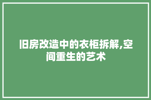 旧房改造中的衣柜拆解,空间重生的艺术