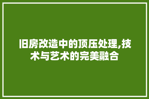 旧房改造中的顶压处理,技术与艺术的完美融合