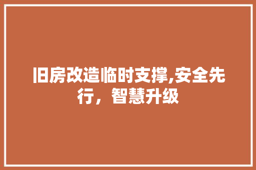 旧房改造临时支撑,安全先行，智慧升级